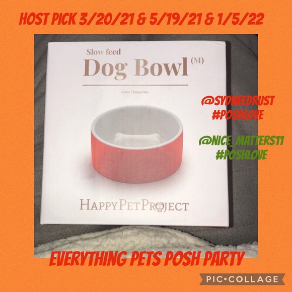 magisso Other - Magisso Happy pet project Tangerine slow feed bowl